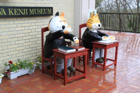 IMG_3628.JPG IMG_3628.JPG